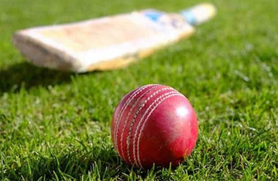 How Live Cricket Platforms Are Changing Match-Day Experience for Fans