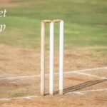 cricket stump