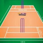 cricket stump height