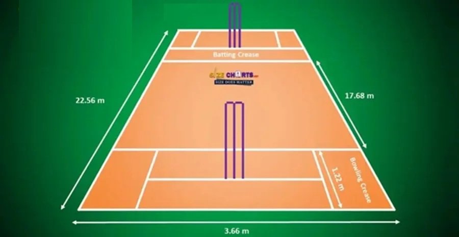 cricket stump height