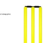 cricket stump price