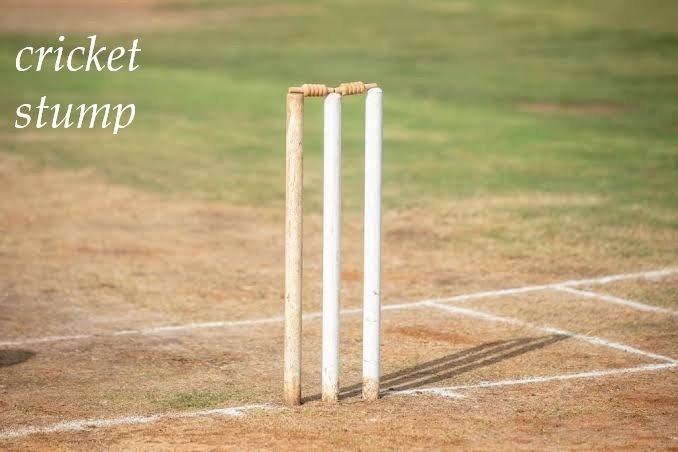 cricket stump